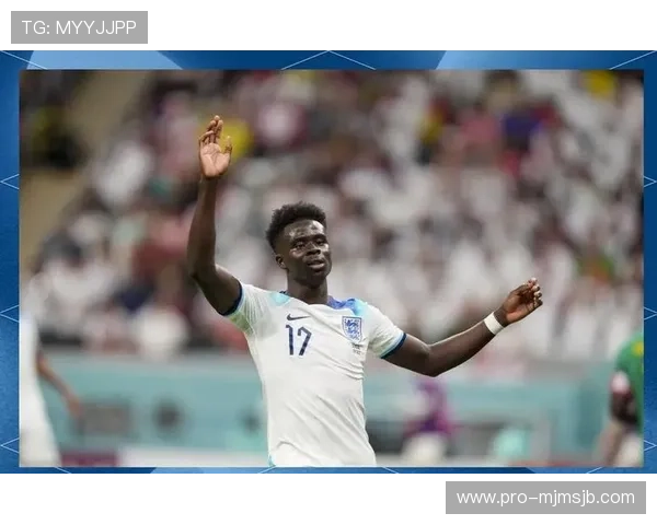 世界杯法国队实力分析：球队整体战术布局与核心球员表现详解