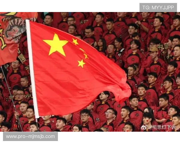 2026足球世界杯中国举办条件与申办流程全景解读
