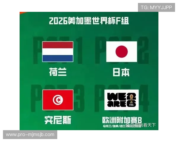 2026年世界杯突尼斯与荷兰比赛日期预测及比赛地点全攻略