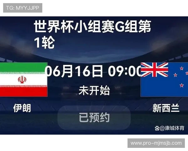 世界杯伊朗vs新西兰比赛观赛注意事项及应急处理方案全景介绍 世界杯伊朗vs新西兰比赛观赛注意事项及应急处理方案全景介绍